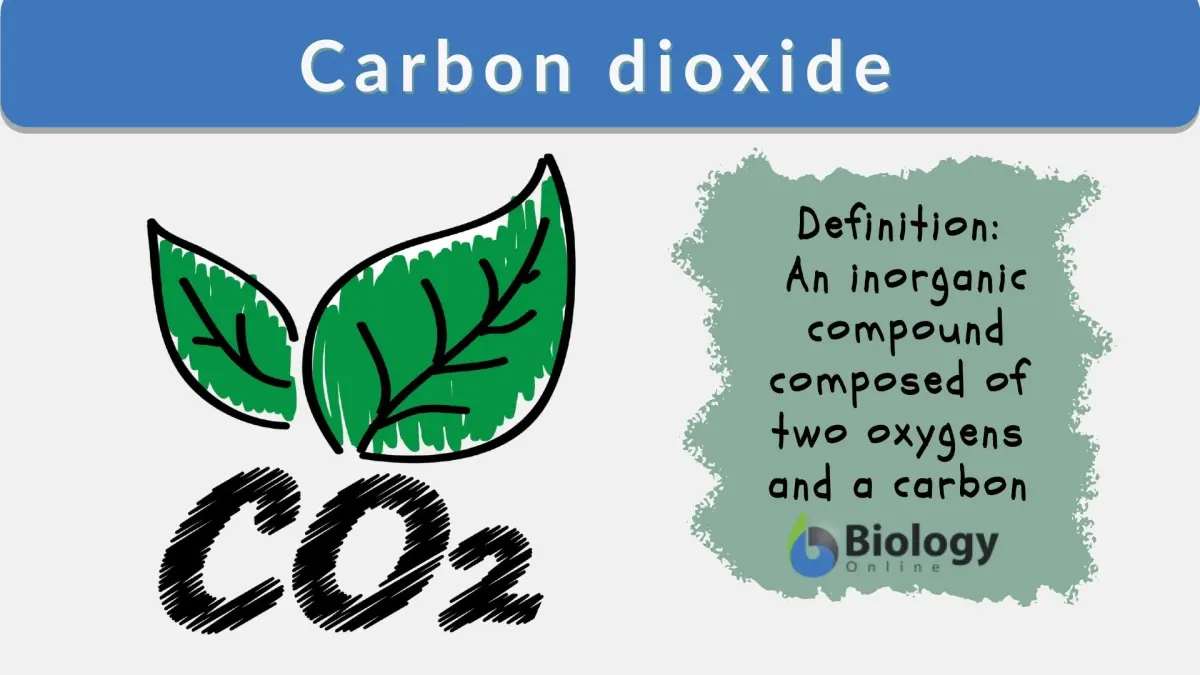 Carbon dioxide