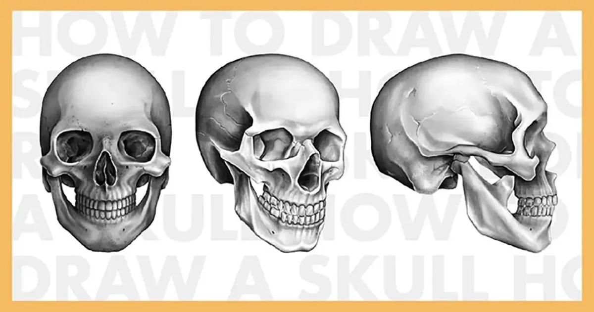 3 Easy Ways to Draw a Skull in Procreate