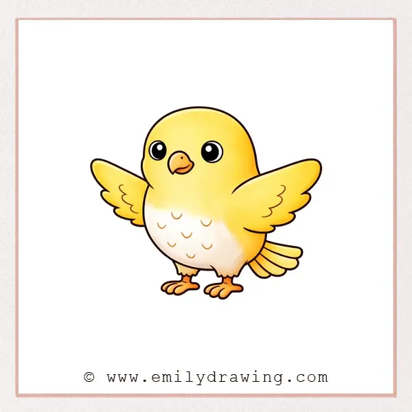 How to Draw a Hawk