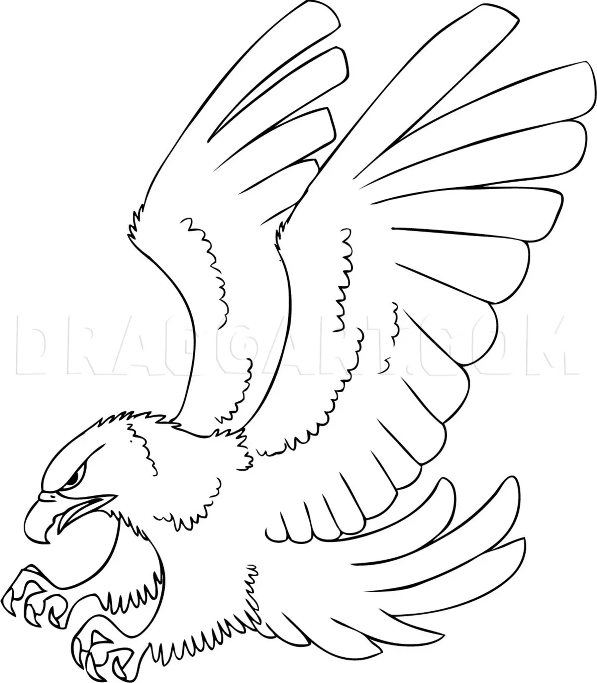 How To Draw A Cartoon Hawk, Drawing, Step by Step, by Dawn