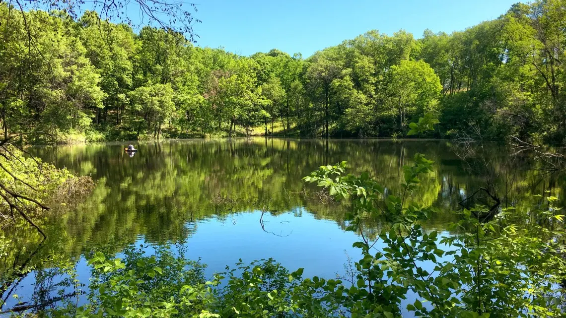 What is a pond? Study provides first data-driven definition