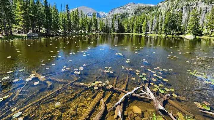 What's the Difference Between a Lake and a Pond?