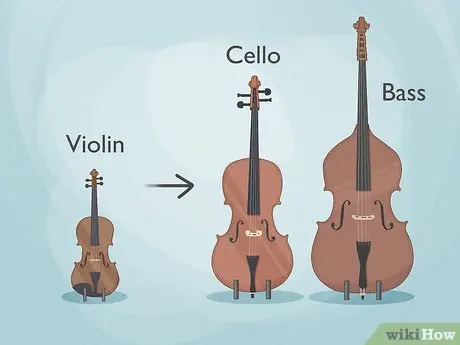 Cello vs. Bass: Differences, Similarities, & Interesting Facts