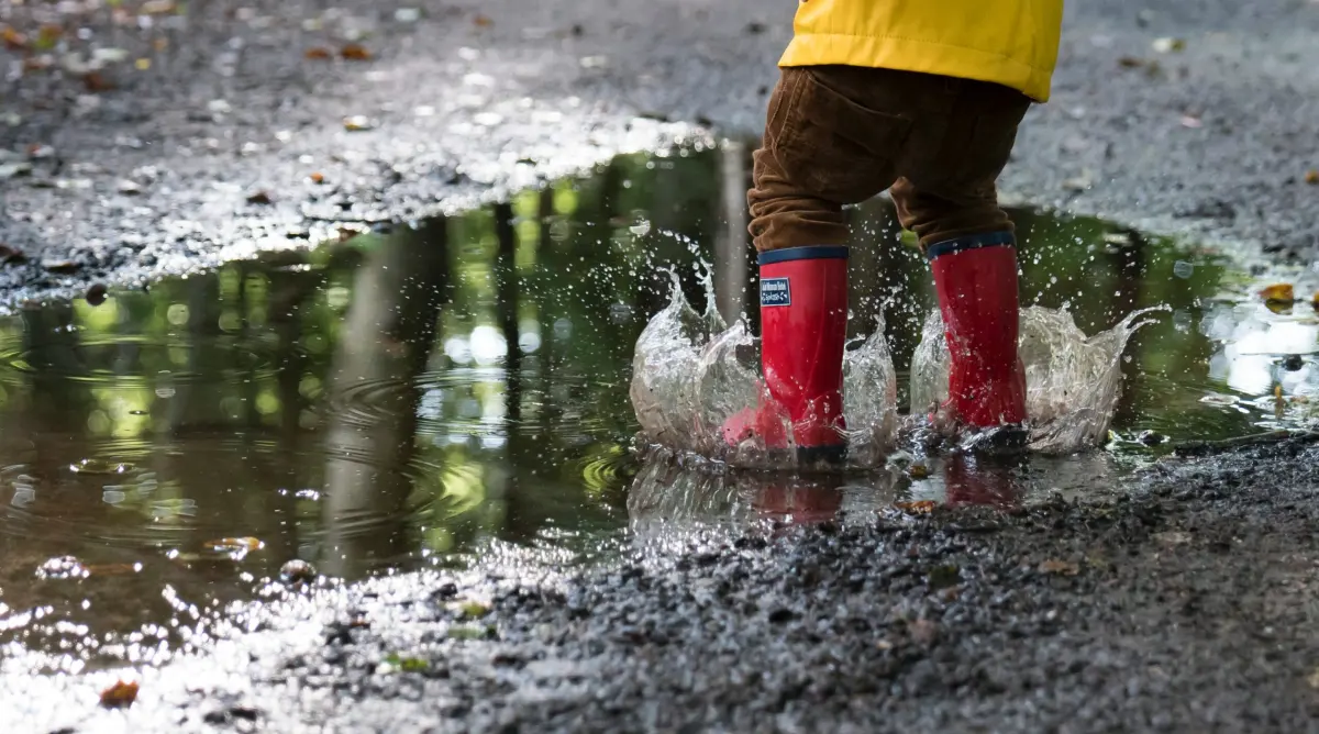 Raincouver: A Legacy of BC's Temperate Rainforest?