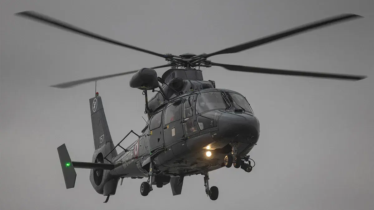 Helicopter fly — image 2
