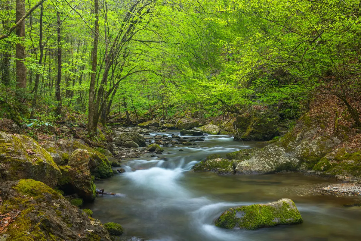 River, Stream or Creek