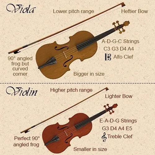 Fiddle vs Violin vs Viola