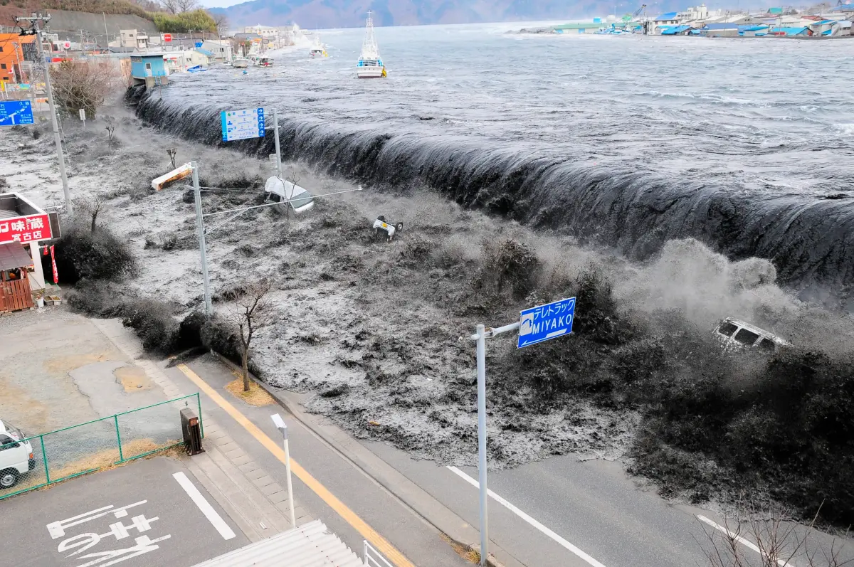 Earthquake, Tsunami, Meltdown