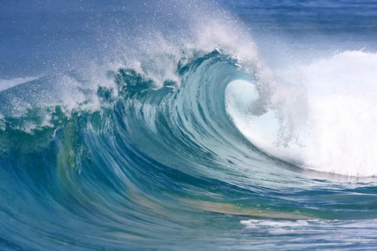 Tsunami — image 3