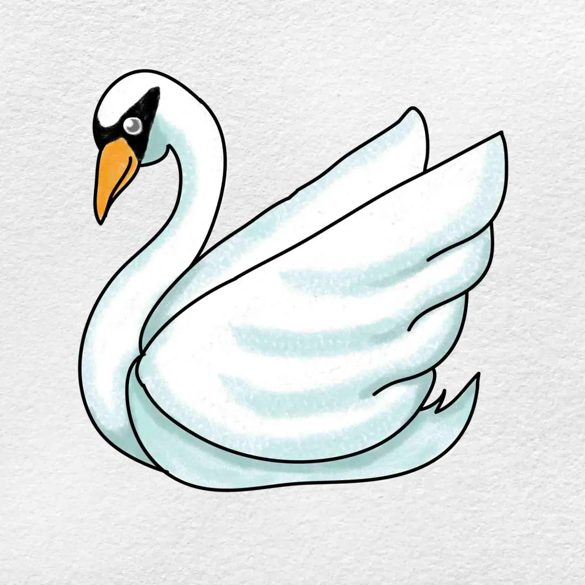 How to Draw a Swan