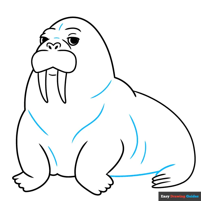 How to Draw a Walrus