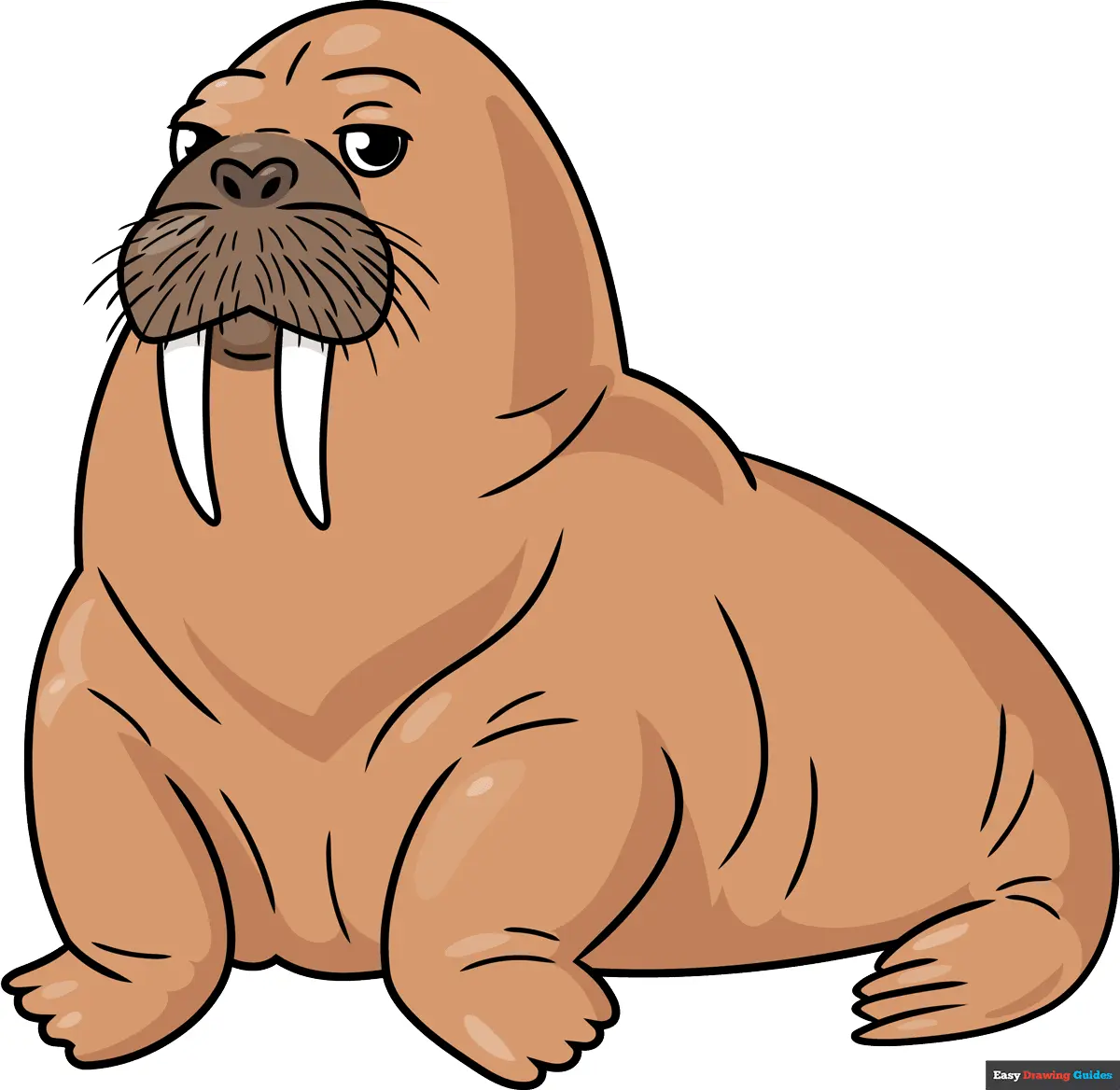 How to Draw a Walrus