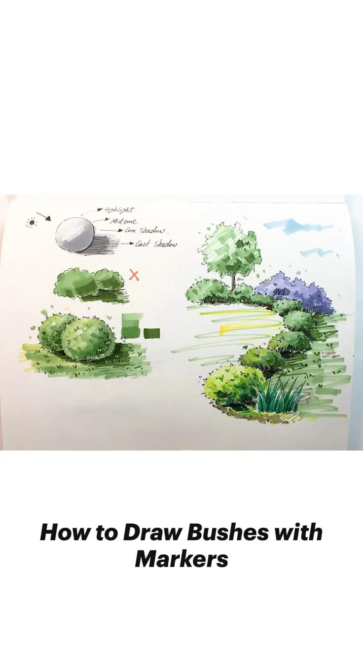How to Draw Bushes with Markers