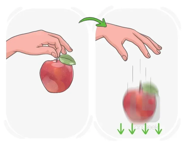 Definition & Meaning of "Gravity" in English