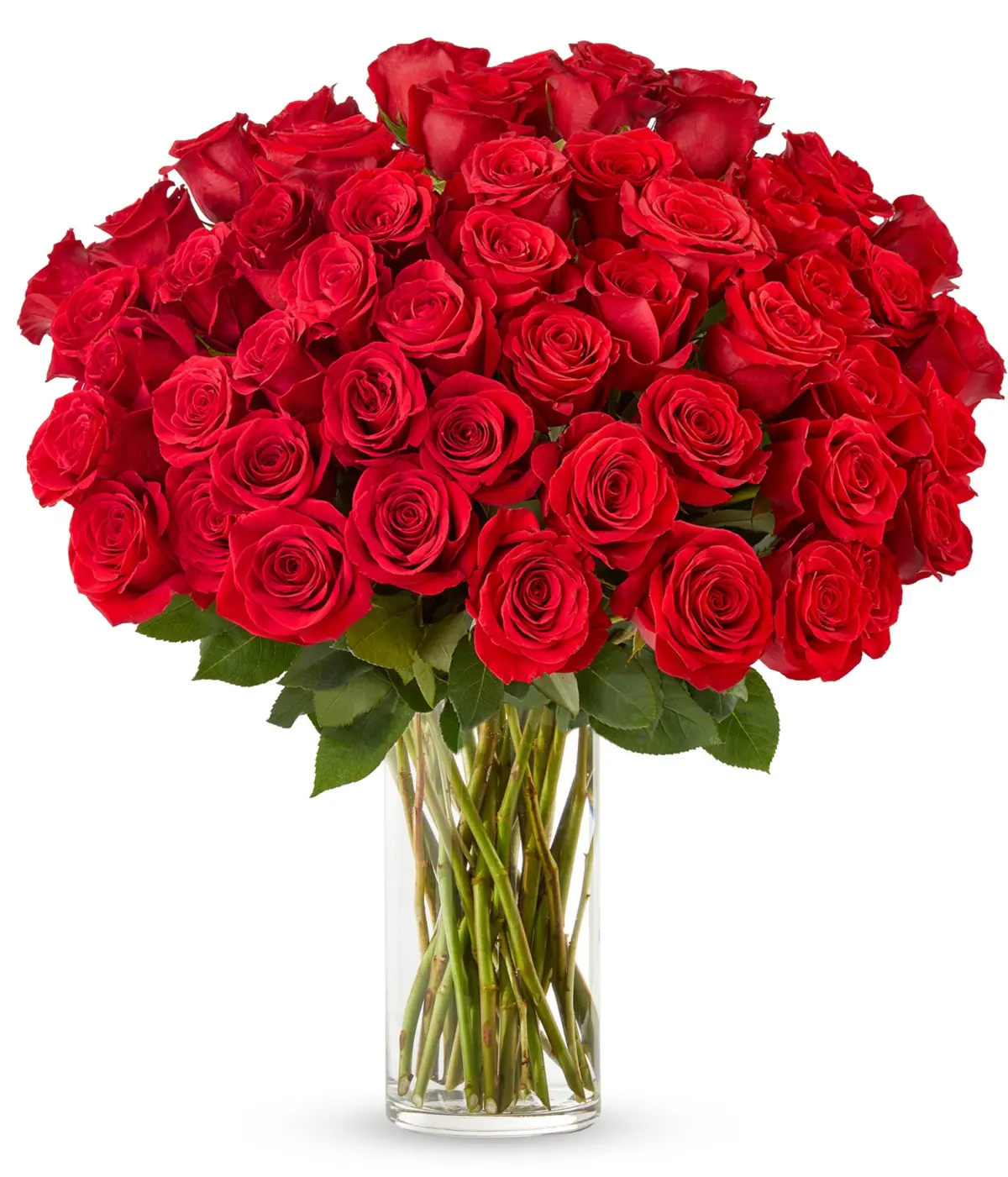 50 Stunning Long Stemmed Red Roses