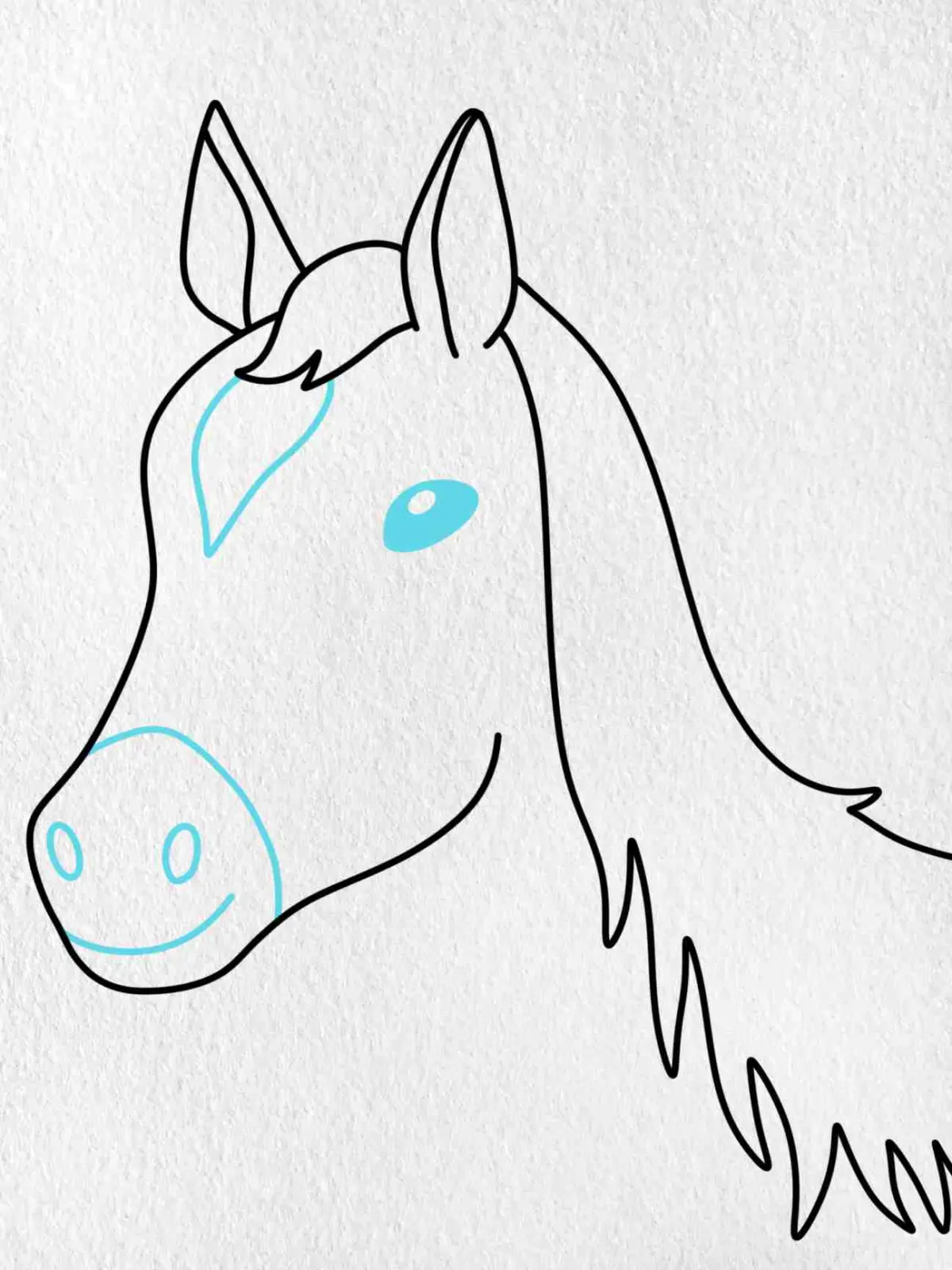 Horse Head Drawing (easy)