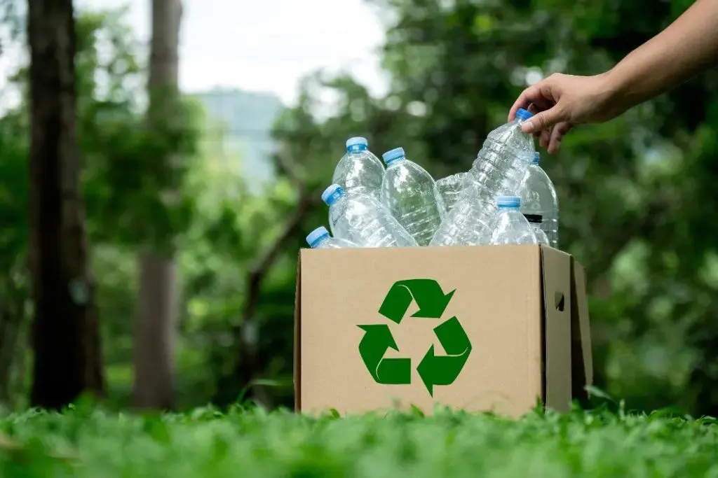 Recycling: Definition, Benefits, Process, and Examples