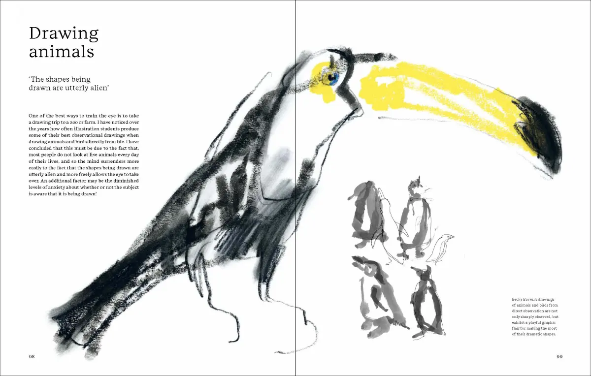 What is the difference between drawing and illustration