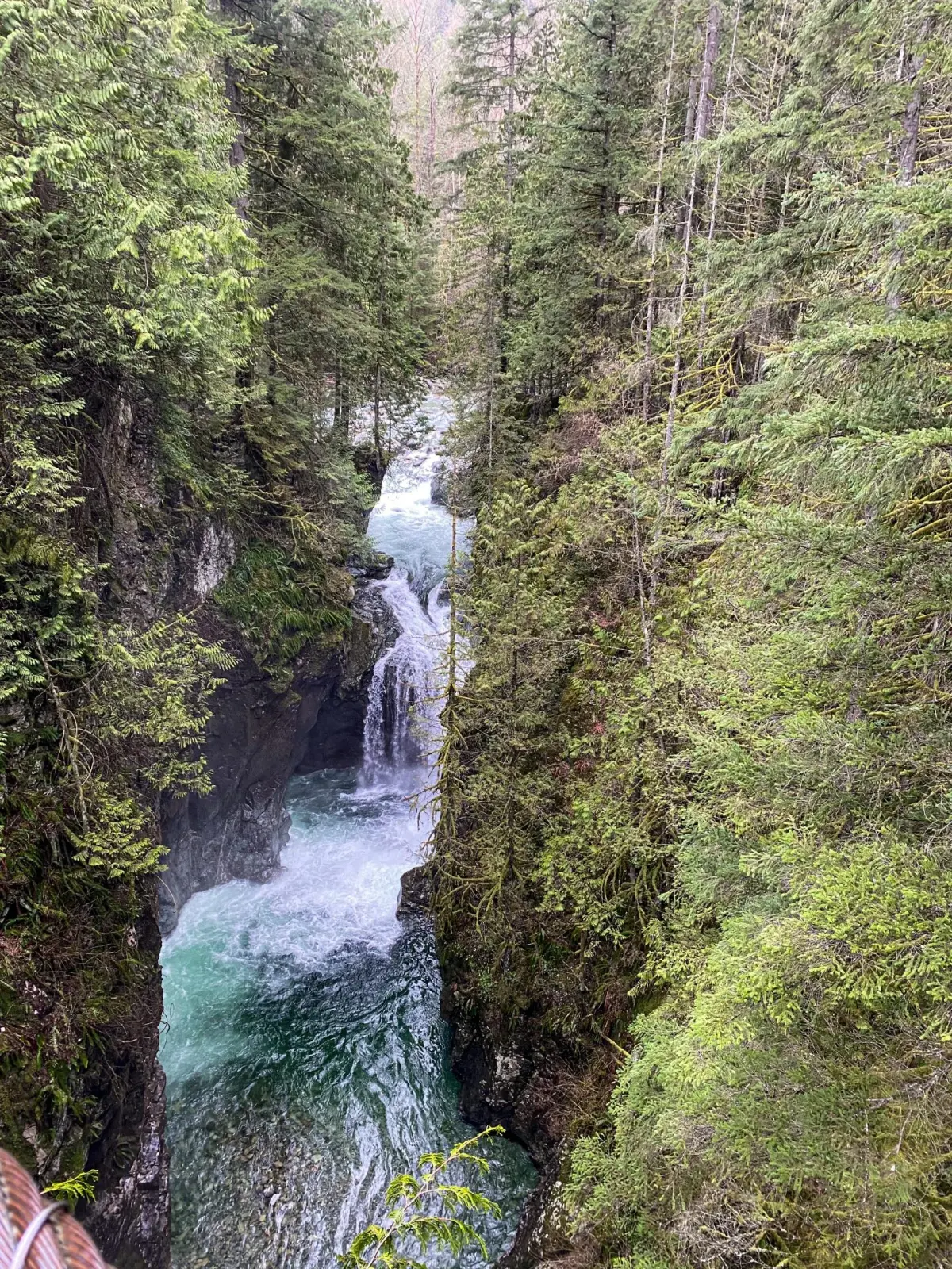 Guide to Lynn Canyon Suspension Bridge