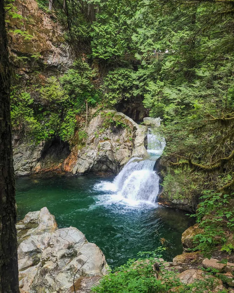 15 Things to KNOW about Visiting Lynn Canyon in Vancouver