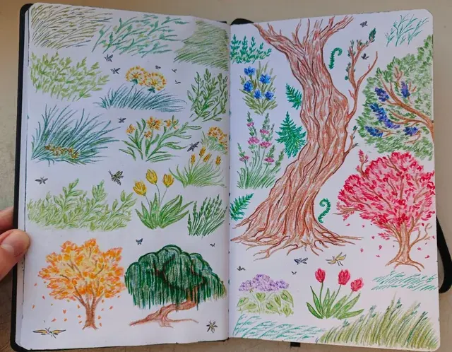 Studies of trees and grass with colored pencils