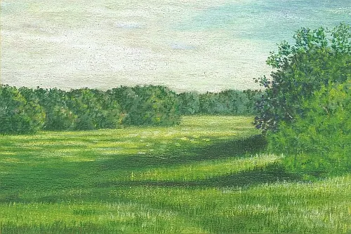 The Right Colors for Drawing Summer Grass