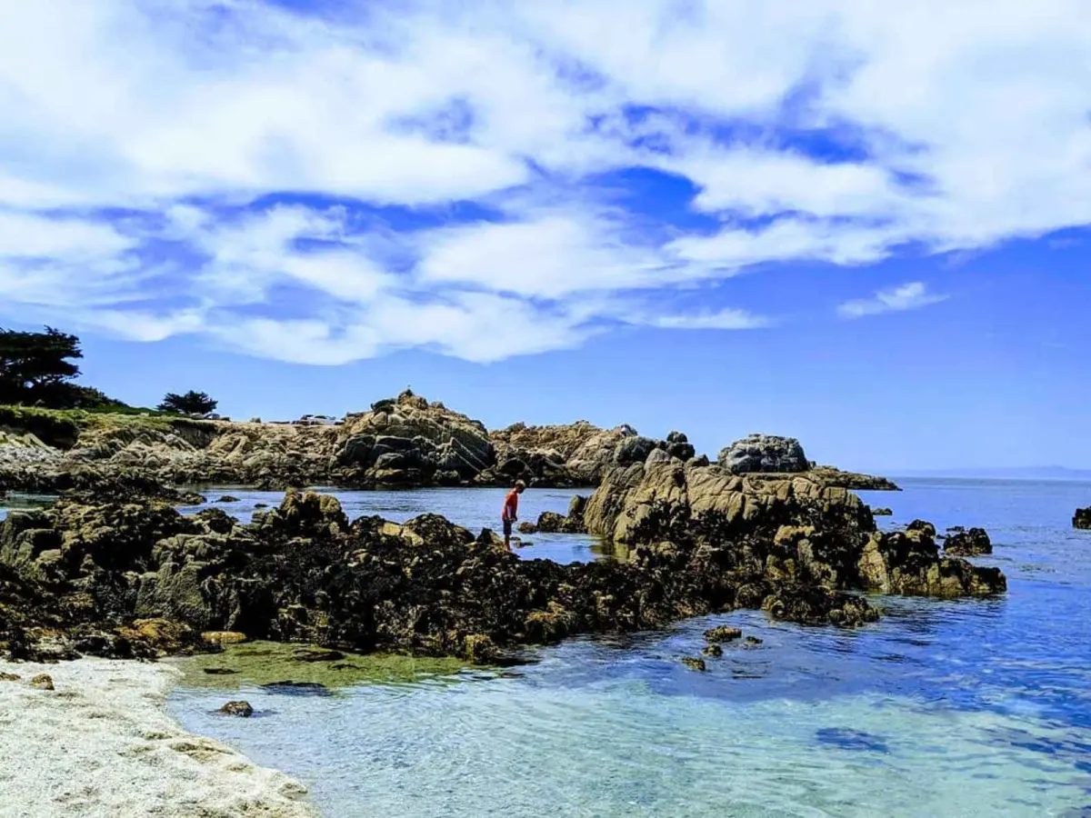 Discover These Amazing Tide Pools in Monterey