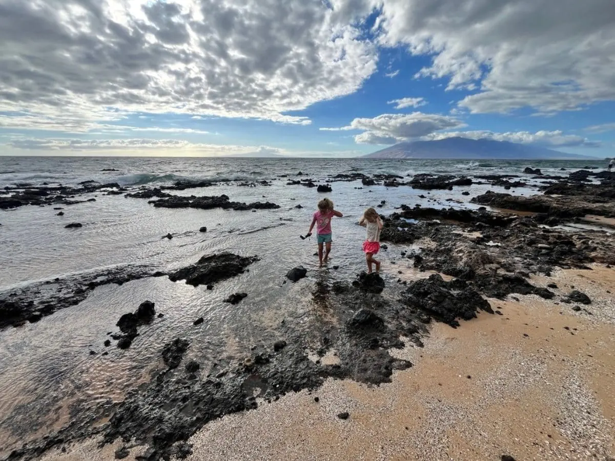 The Best Place for Tide Pools in Hawaii