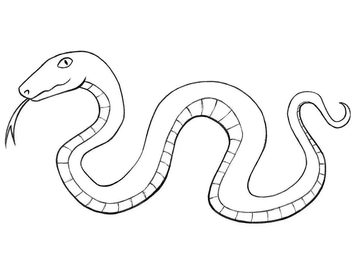 How to Draw a Cartoon Snake
