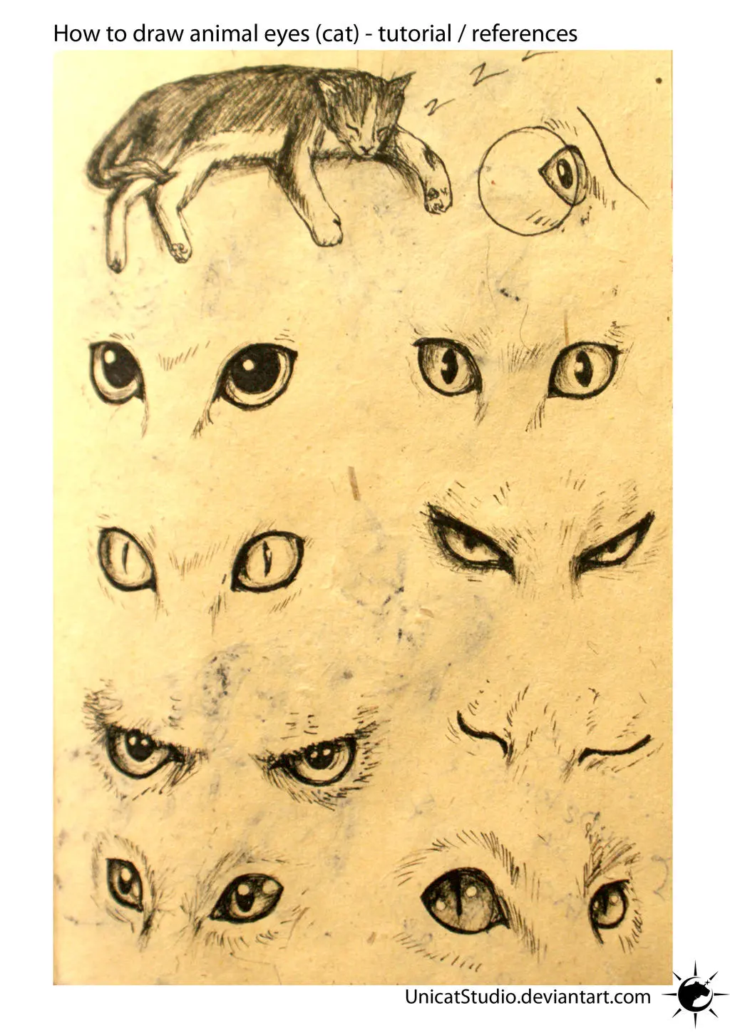 Animal Eyes Tuto by UnicatStudio on DeviantArt