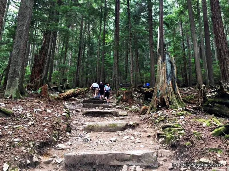 The Challenging Grouse Grind Hike