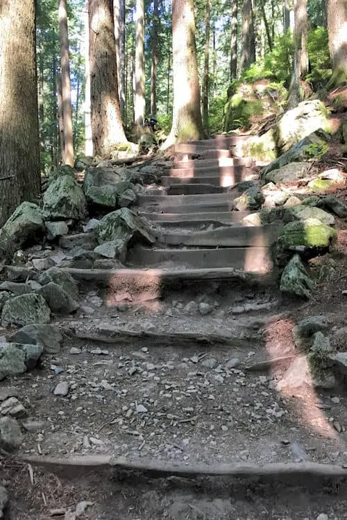 Grouse Grind Trail, The Ultimate Grouse Mountain Hike