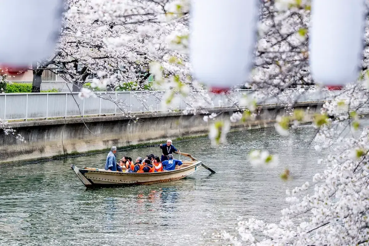 Oedo Fukagawa Cherry Blossom Festival 2027