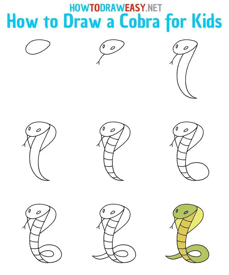How to Draw a Cobra Easy Step by Step
