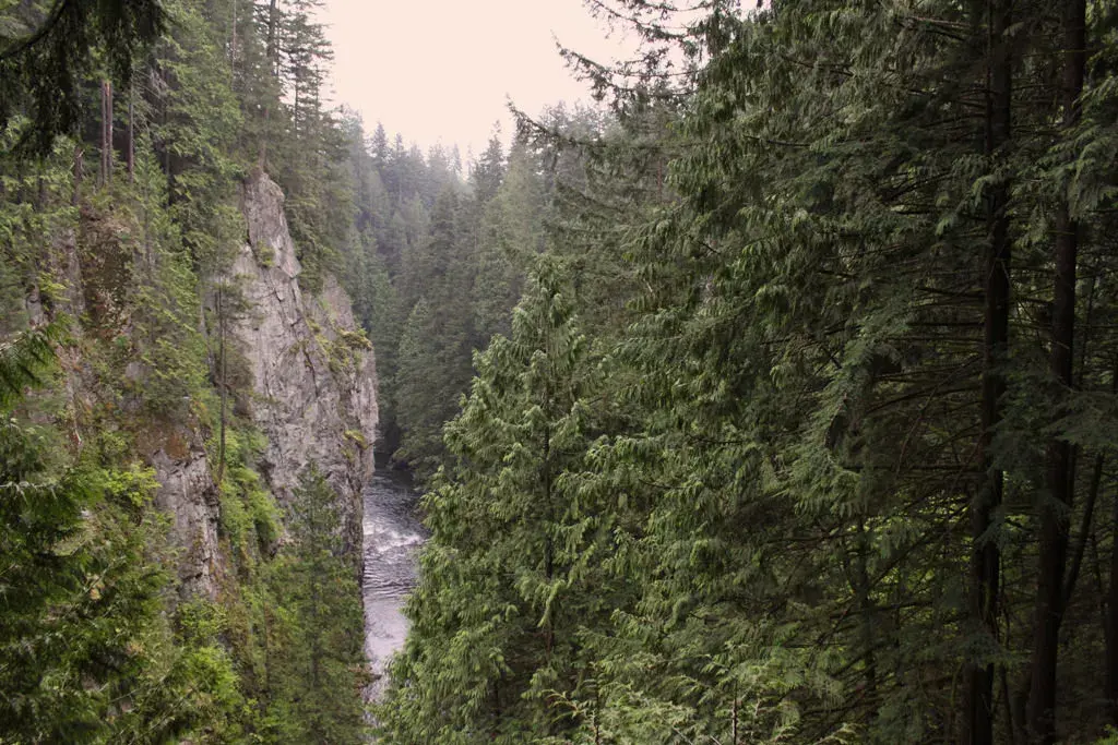 Capilano Pacific Trail, Ambleside to Cleveland Dam