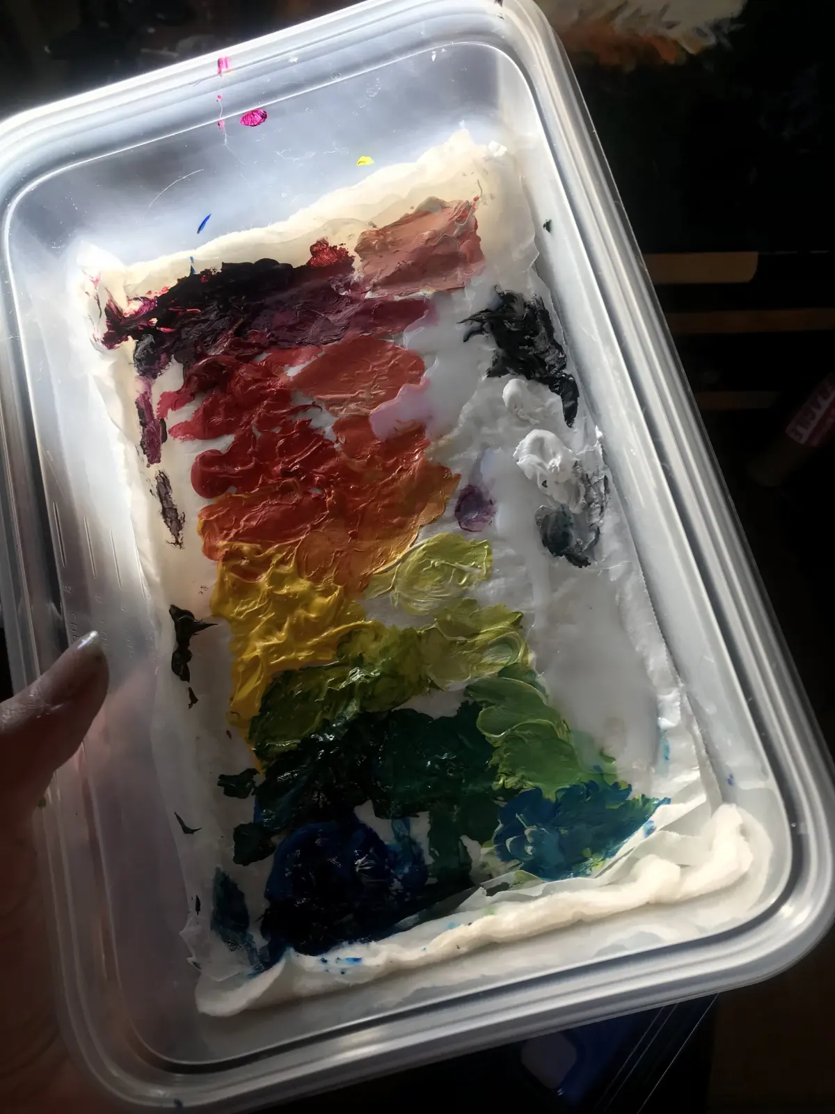 DIY Wet Palette: How to Keep your Acrylic Paint from Drying Out too Fast