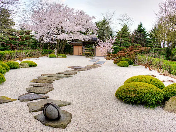 The Zen Garden