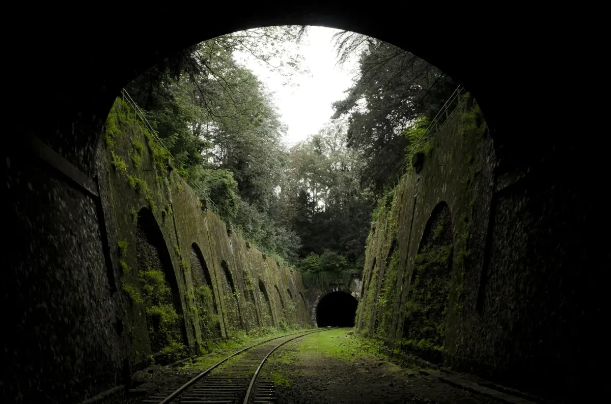 Photography 101: Framing