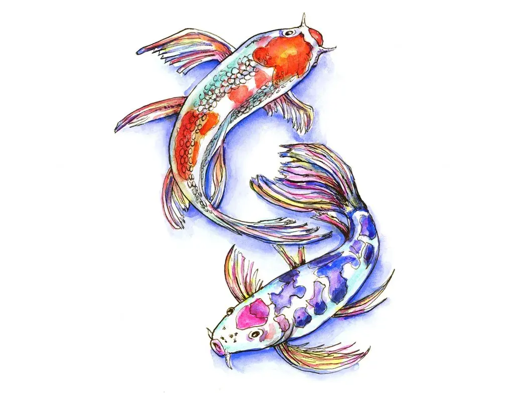 Draw koi fish — image 2