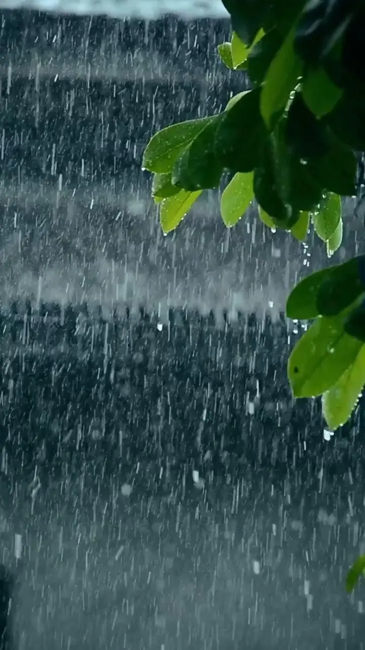 RAIN 🌧 [Vidéo]