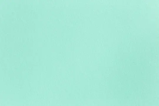 Mint Color