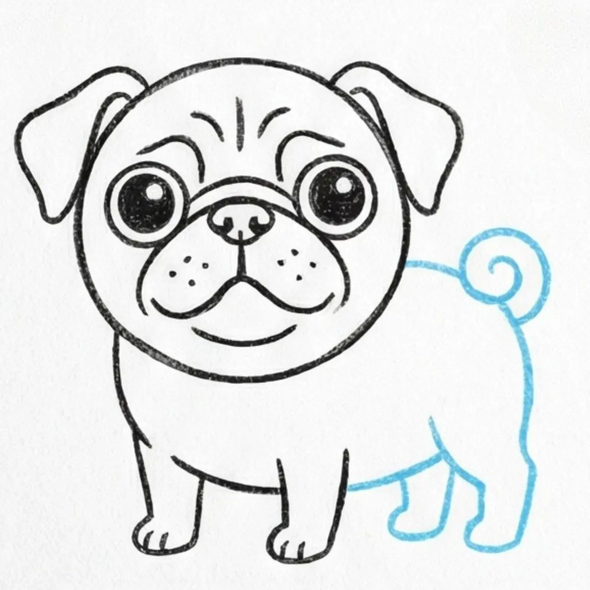 How to Draw a Pug Dog Step by Step