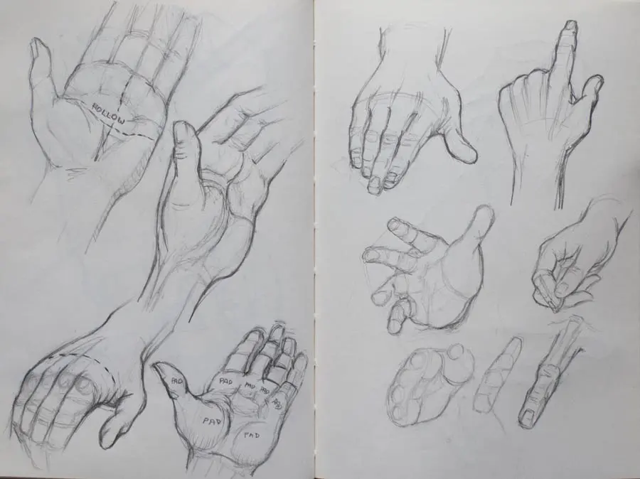 hard hands