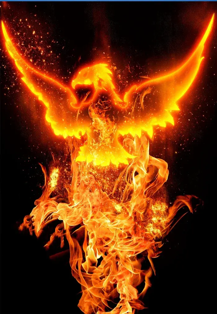 Phoenix Symbolism: Timeless Meaning & Timeless Occasions