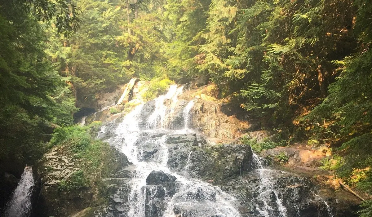 THE 15 BEST Things to Do in North Vancouver (2026)