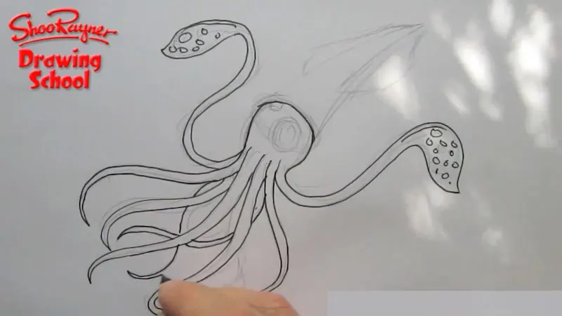 How to Draw a Squid