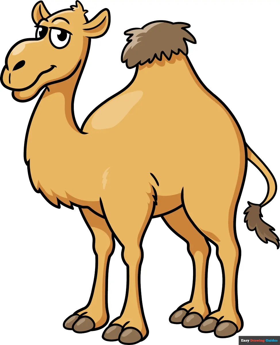How to Draw a Cartoon Camel