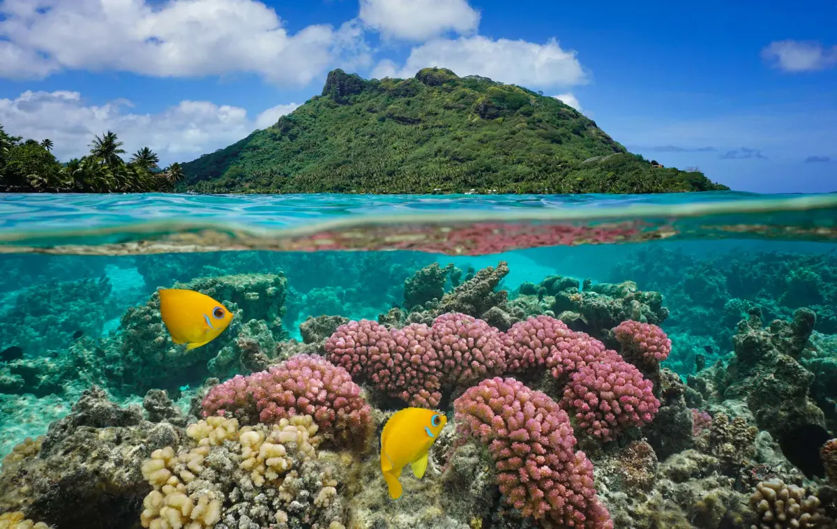 Tides are changing: Source-to-sea science for a healthy ocean