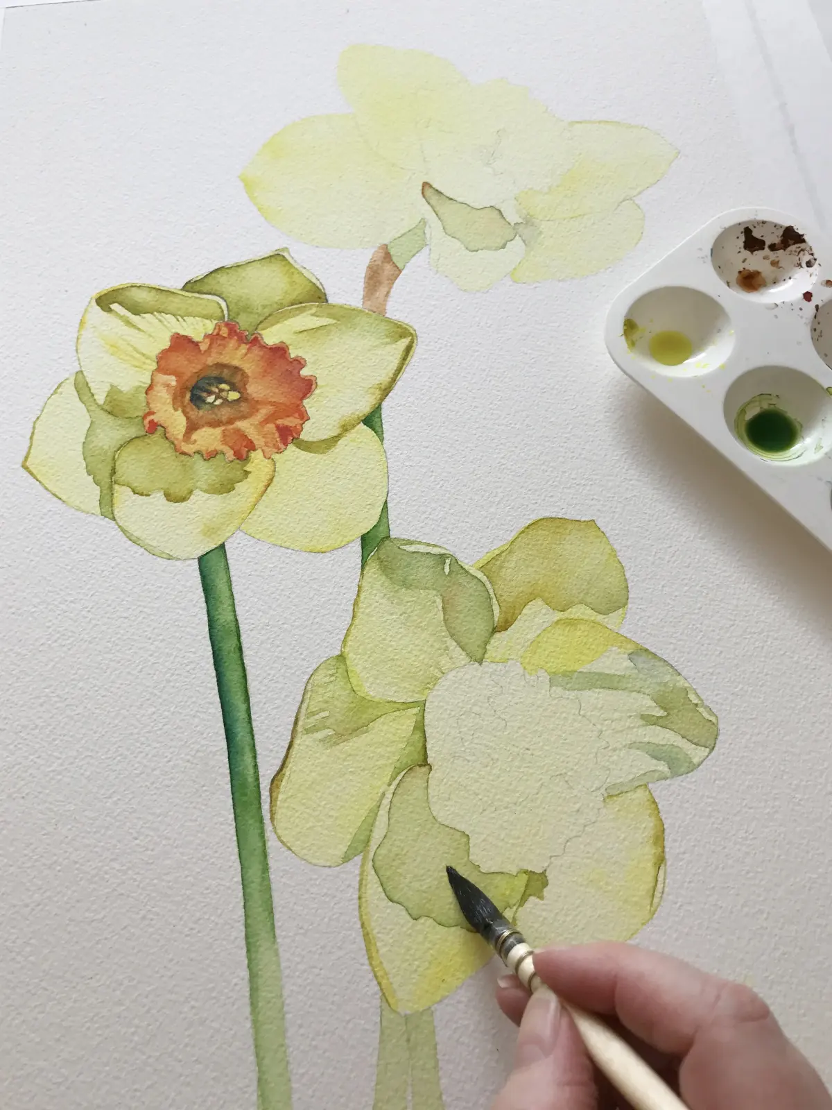 How to Paint Florals in Watercolour: Louise De Masi's Approach