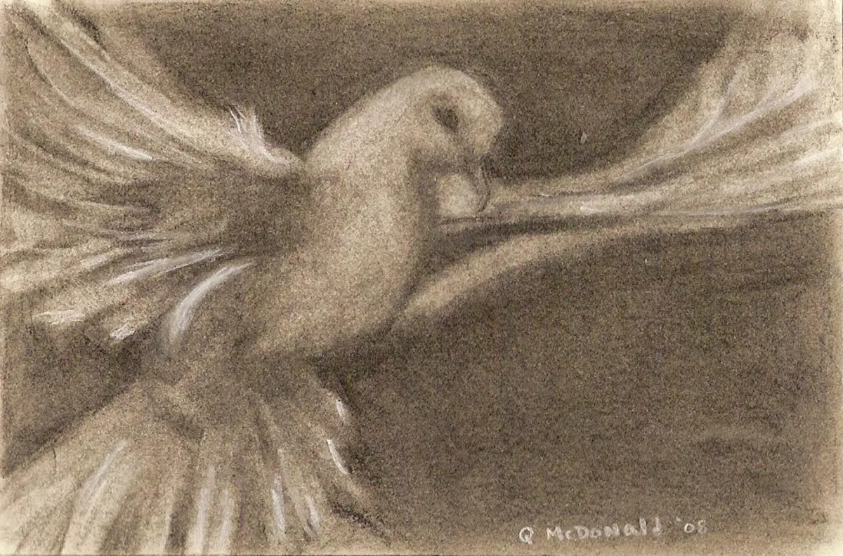 Reductive Drawing